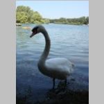 2013-07-07 - 11-55-56.JPG